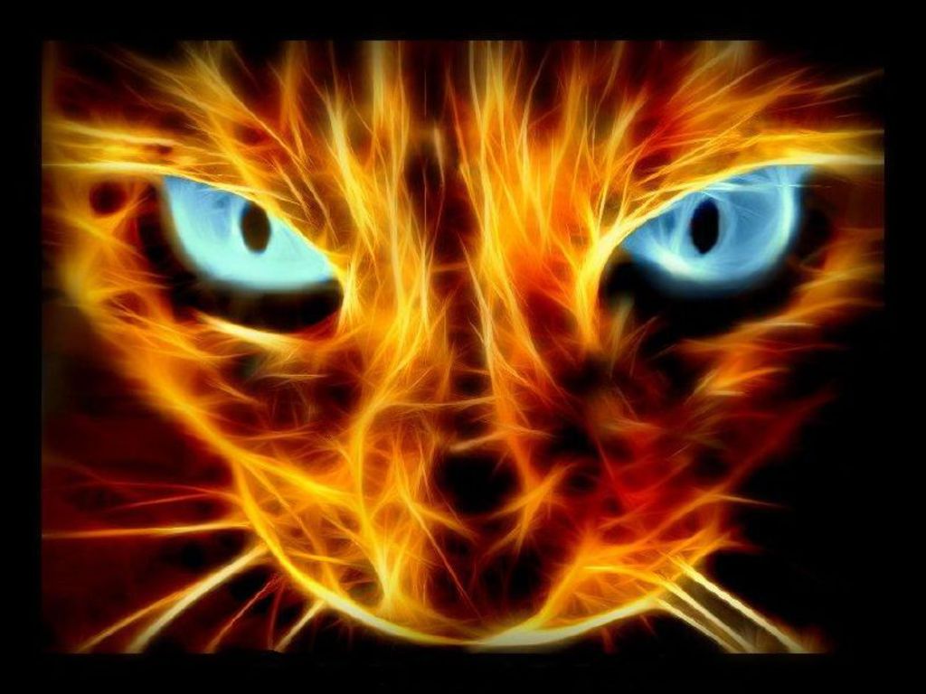awesome-fire-cat.jpg