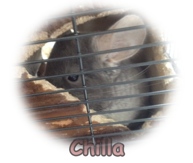 chilla.png
