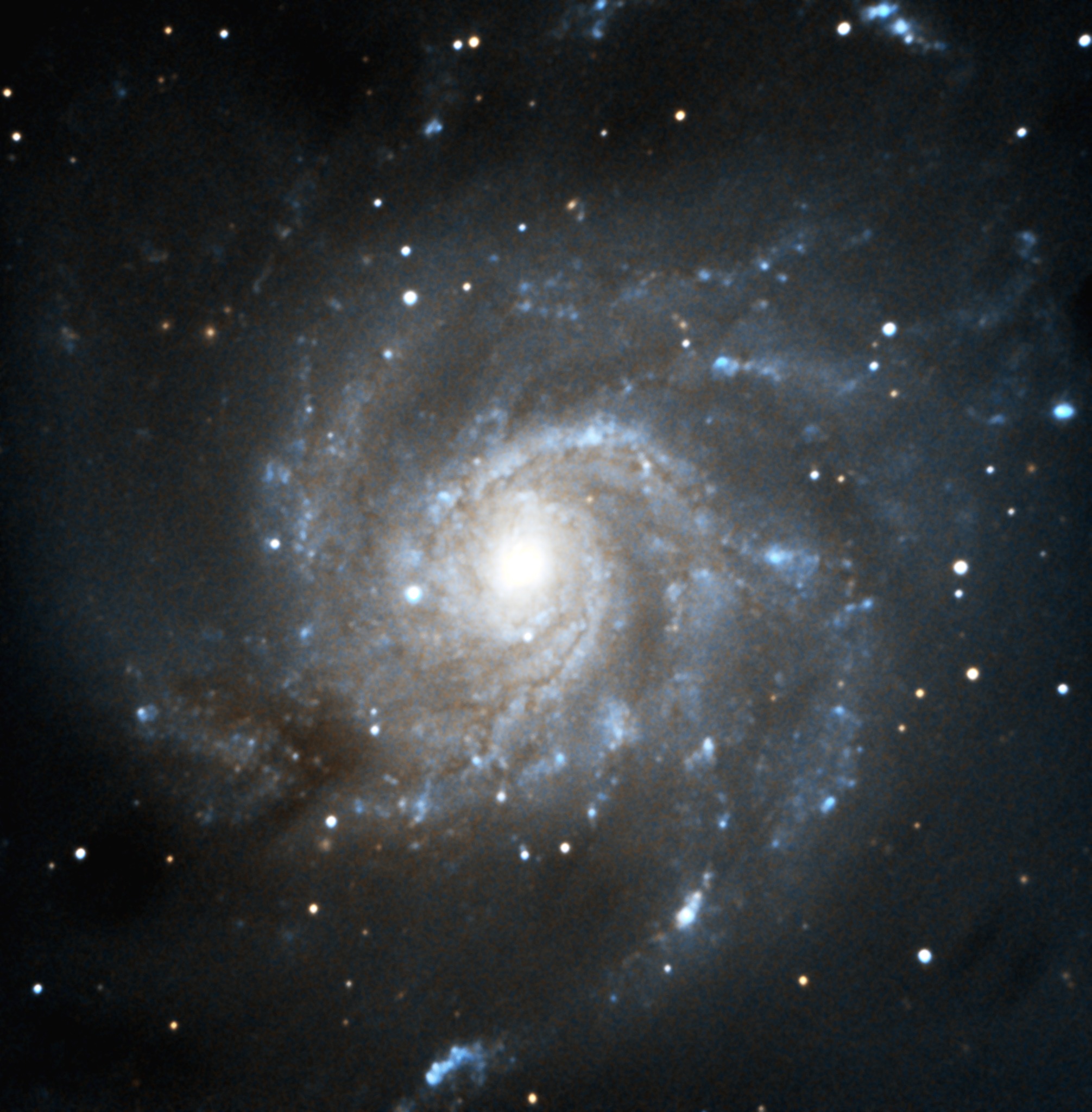 M101 Galaxy.jpg