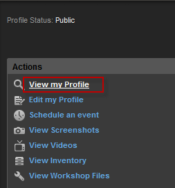 Steam profile 3.png