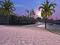 Next Island Guides Arthurs Island Tours Part 3 23.jpg