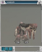 Longtooth 01.jpg