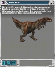 Atrax 01.jpg