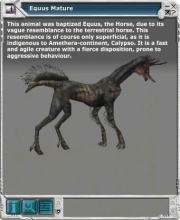 Equus 01.jpg