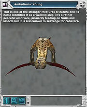 Ambulimax 01.jpg