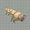 Moblist thumb Sabakuma.png