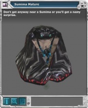 Sumima 03.jpg