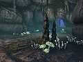Next Island Guides Arthurs Island Tours Part 4 01.jpg