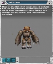 Molisk 03.jpg
