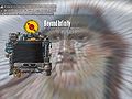Next Island Guides Arthurs Island Tours Part 3 34.jpg