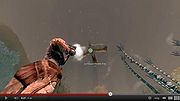 Mature Horned Bird.jpg