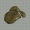 Ore thumb Himi Rock.jpg
