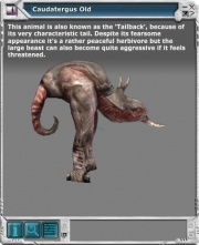 Caudatergus 01.jpg