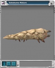 Sabakuma 01.jpg
