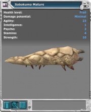 Sabakuma 02.jpg