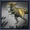 Atrox-DNA.jpeg