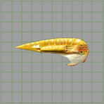 Moblist thumb Razortooth.png