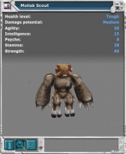 Molisk 02.jpg