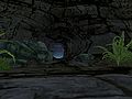 Next Island Guides Arthurs Island Tours Part 3 29.jpg