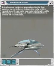 Calypsocod 03.jpg