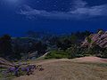 Next Island Guides Arthurs Island Tours Part 3 16.jpg