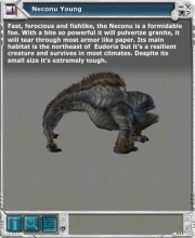 Neconu 01.jpg