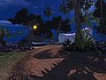 Next Island Guides Arthurs Island Tours Part 3 15.jpg