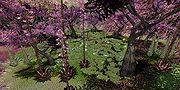 7-zekforestwithpurpletrees.jpg