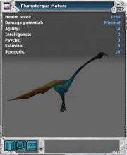 Plumatergus 02.jpg