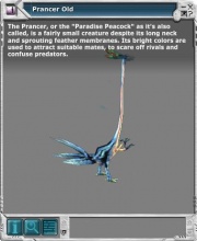 Prancer 03.jpg