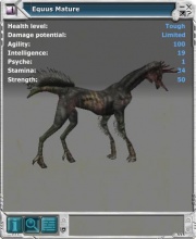 Equus 02.jpg