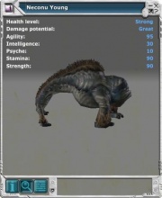 Neconu 02.jpg