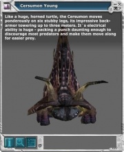 Cersumon 03.jpg