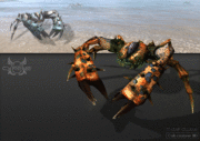 Tide Claws.gif