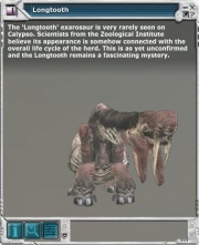 Longtooth 03.jpg
