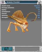 Scipulor 02.jpg