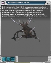 Grand Formidon 03.jpg