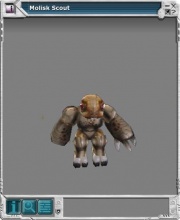 Molisk 01.jpg