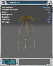 Caperon 02.jpg