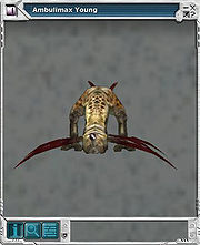 Ambulimax 03.jpg