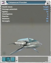 Calypsocod 02.jpg